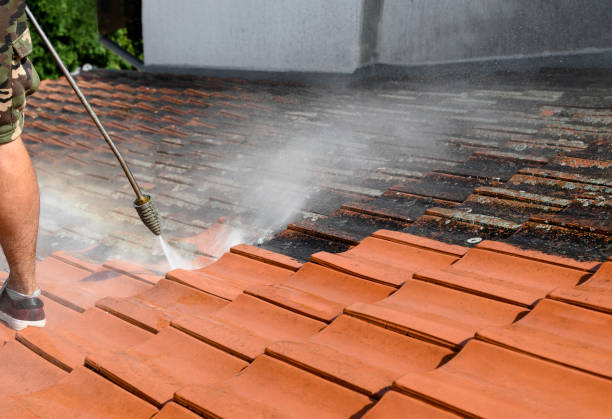 Best Pressure Washing Company Near Me  in Glenn Dale, MD